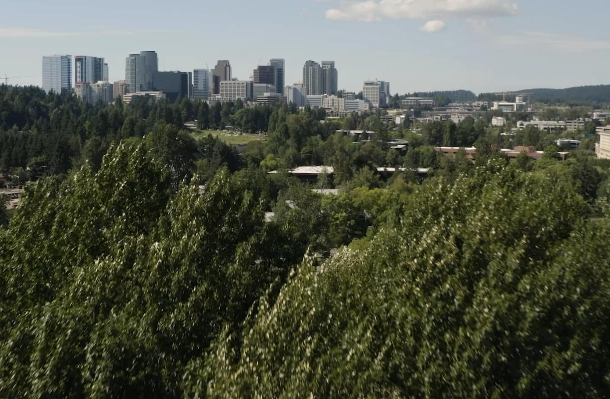 A city skyline rising above wooded hills