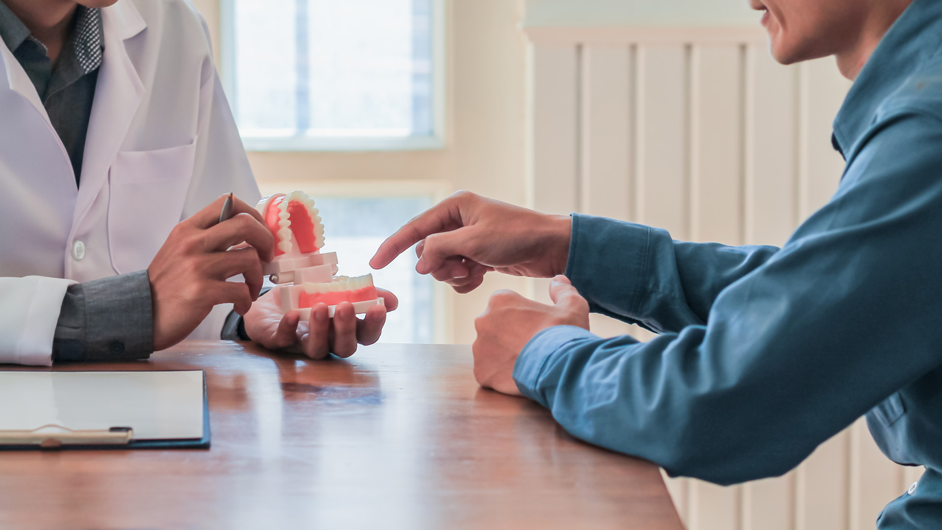 A dentist showing a model of the teeth to a patient across a desk