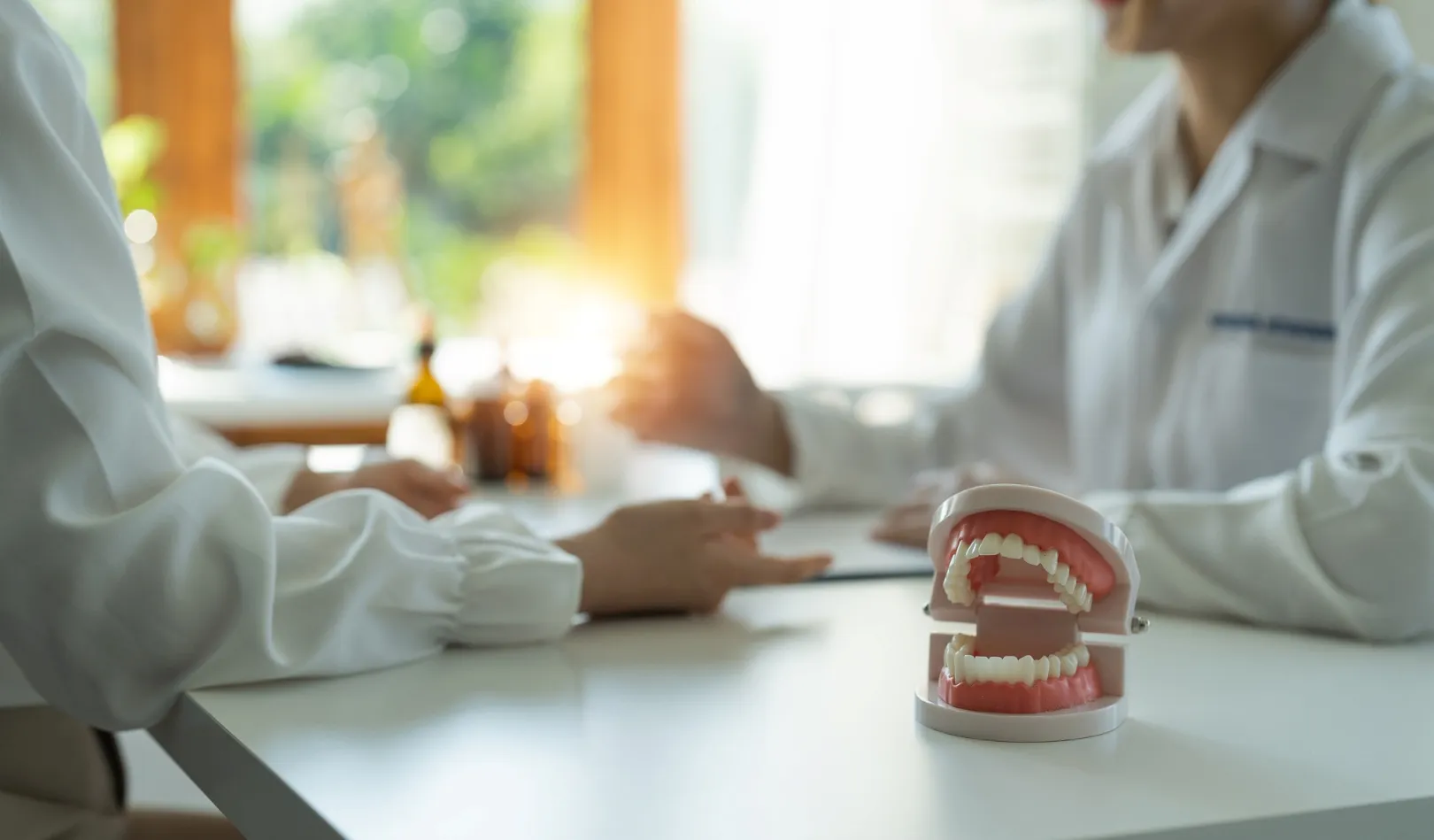 A model of the teeth on a desk between a clinician and a patient in conversation